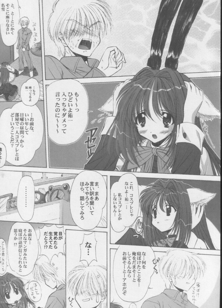 [ASYURAYA (Kushida Ashura)] Neko Neko Hot (Kanon) page 8 preview