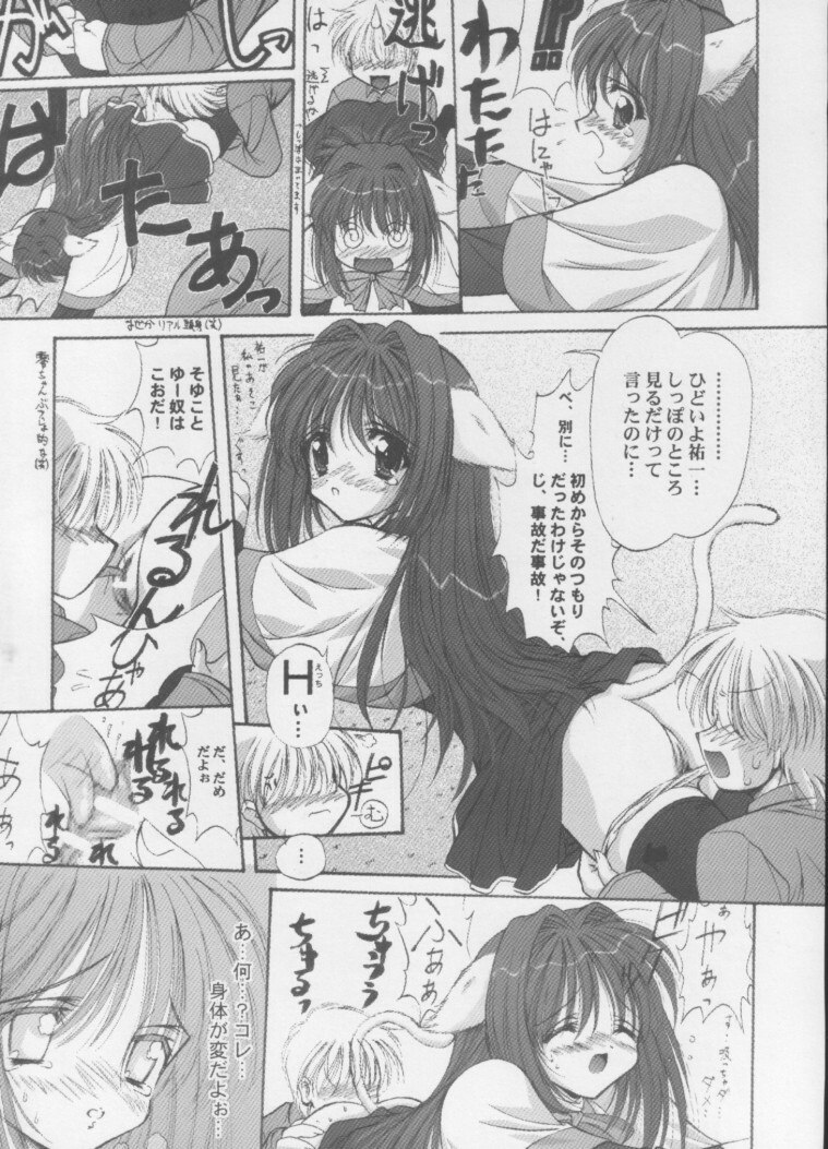 [ASYURAYA (Kushida Ashura)] Neko Neko Hot (Kanon) page 12 preview
