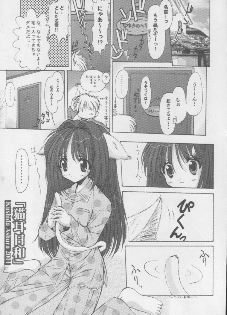 [ASYURAYA (Kushida Ashura)] Neko Neko Hot (Kanon) page 6 preview