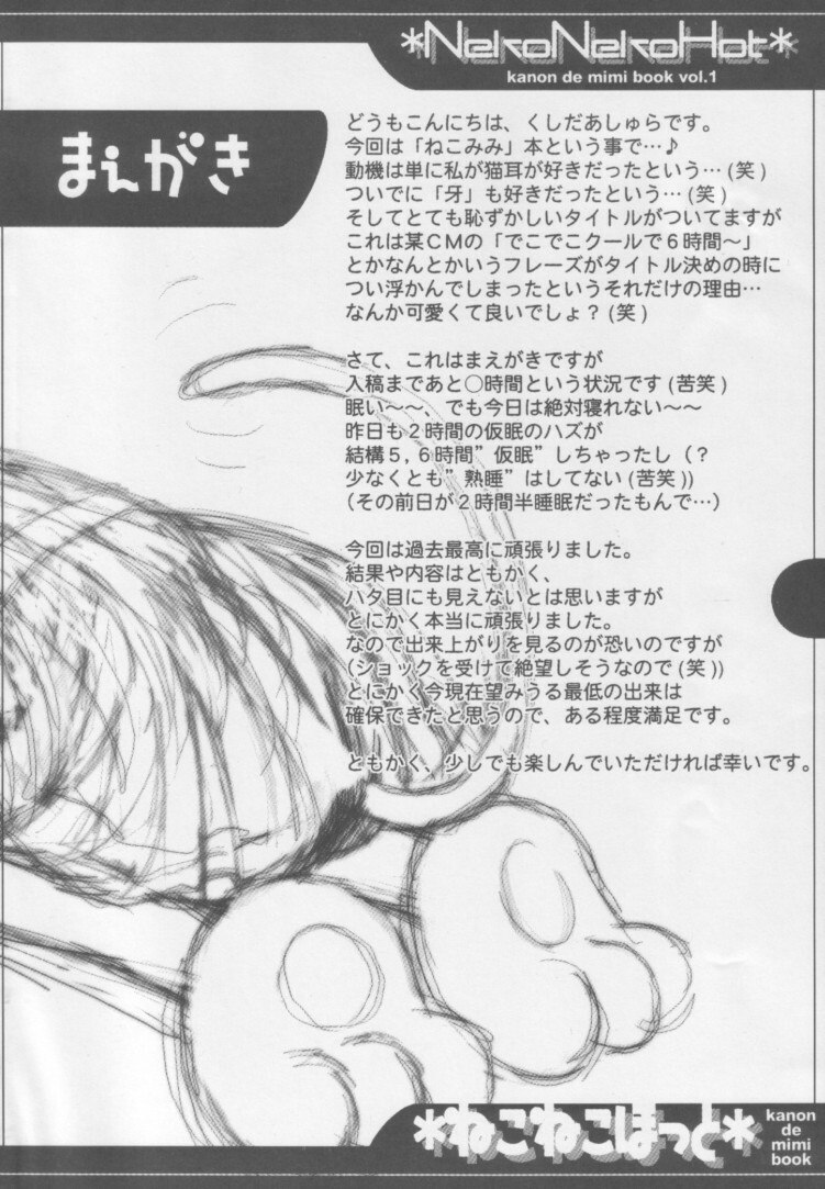[ASYURAYA (Kushida Ashura)] Neko Neko Hot (Kanon) page 3 preview