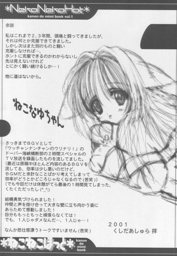 [ASYURAYA (Kushida Ashura)] Neko Neko Hot (Kanon) page 4 preview