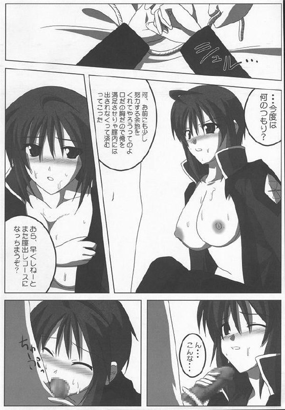 (C68) [Raiden Yashiki (Yamaura Tamaki)] Lunamaria Shugi Z | Principle of Lunamaria Z (Gundam SEED DESTINY) page 9 preview
