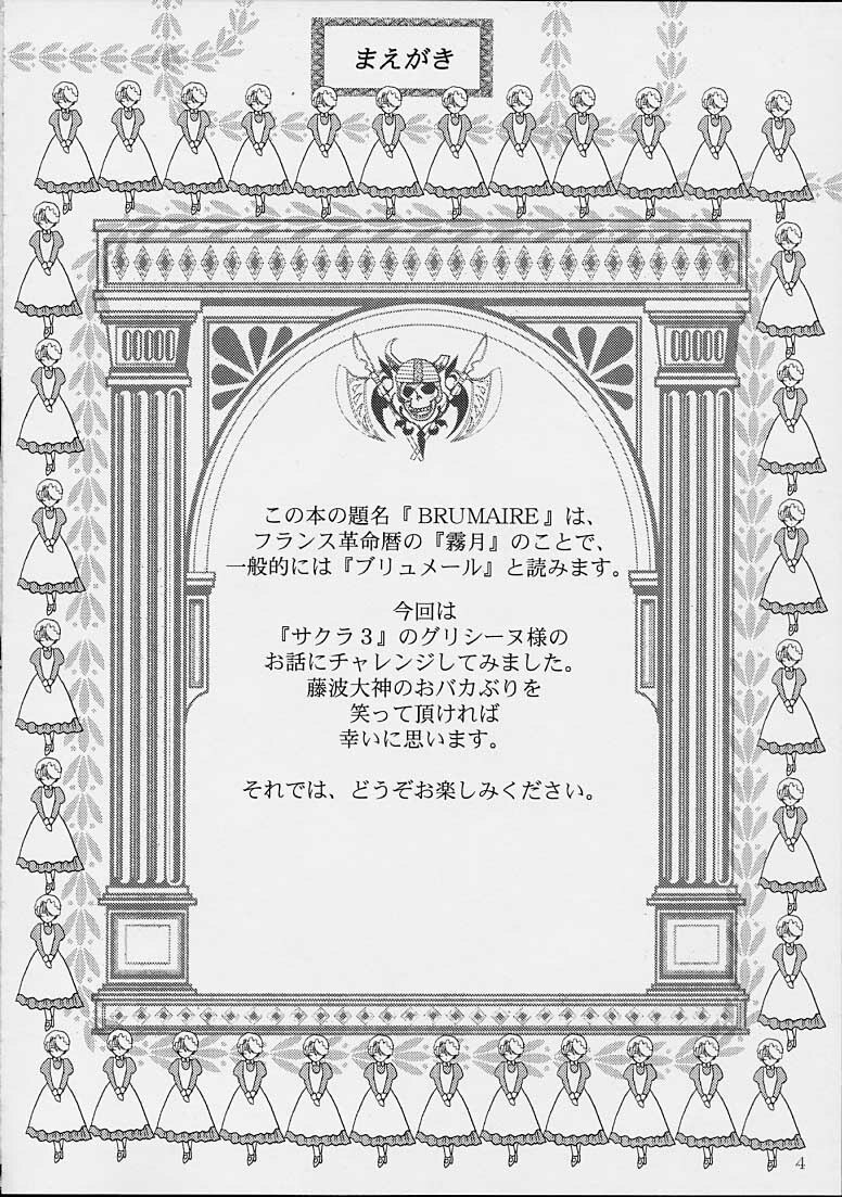 (C61) [Huzinami Koubou (Huzinami Kaoru)] Brumaire (Sakura Taisen) page 2 preview