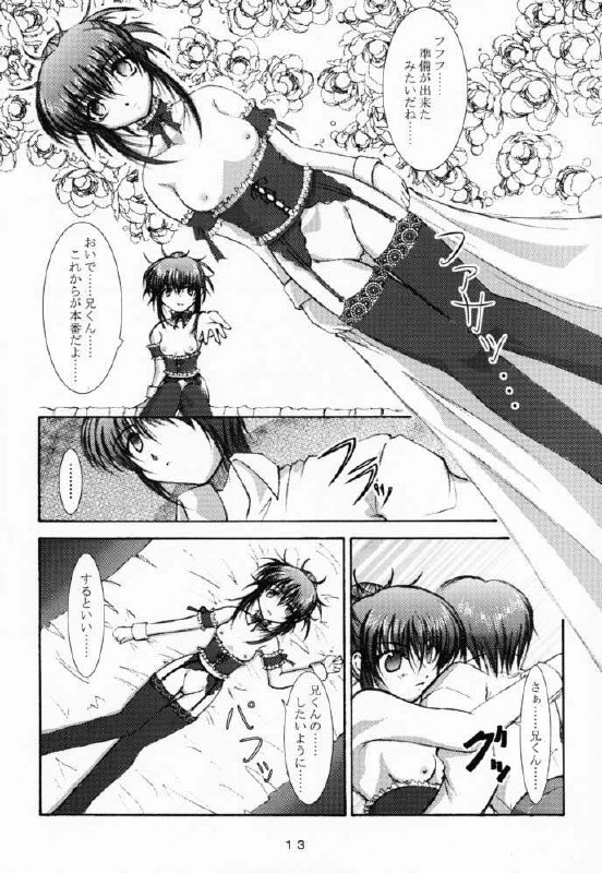 (CR29) [Takane no Hanazono (Takane Nohana)] Elixir (Sister Princess) page 12 preview