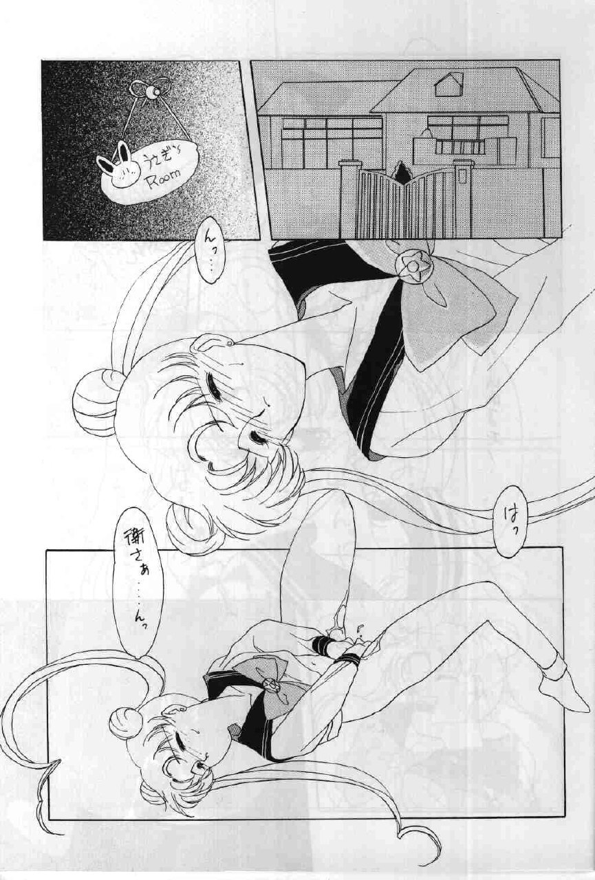 (CR13) [Kotatsuya (Tatsuneko)] SAILORS ORANGE VERSION (Bishoujo Senshi Sailor Moon) page 5 preview