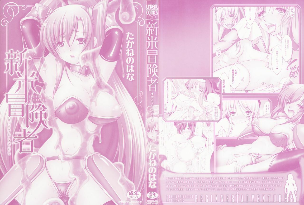 [Takane Nohana] Shinmai Boukensha -Otosareshi Mono-tachi- page 2 preview