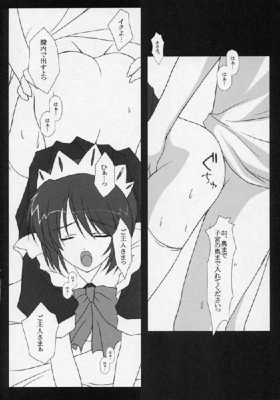 (C68) [Nirvana Soft (HIRONII)] FINAL RED IMPACT (Gundam Seed Destiny) page 10 preview