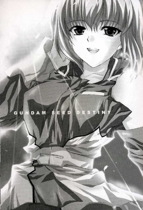 (CR37) [FANTASY WIND (Shinano Yura)] L-S (Kidou Senshi Gundam Seed Destiny) page 2 preview