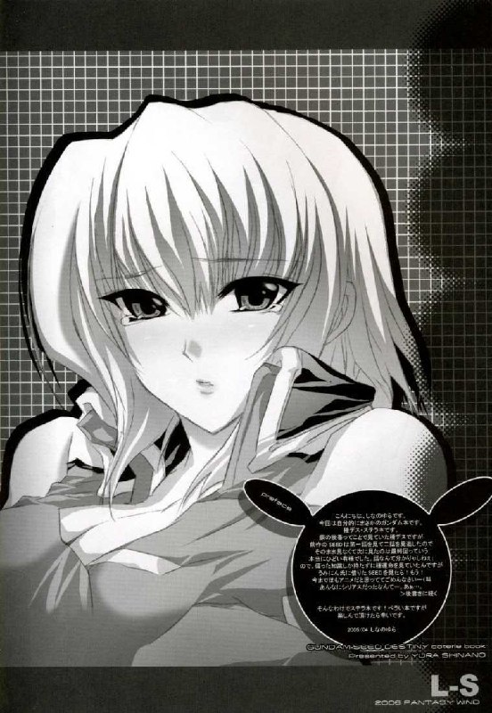 (CR37) [FANTASY WIND (Shinano Yura)] L-S (Kidou Senshi Gundam Seed Destiny) page 3 preview