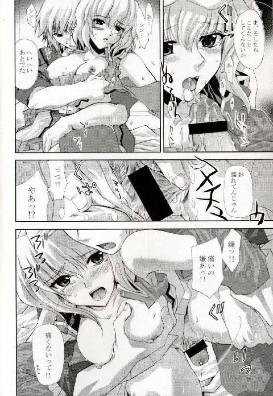 (CR37) [FANTASY WIND (Shinano Yura)] L-S (Kidou Senshi Gundam Seed Destiny) page 7 preview