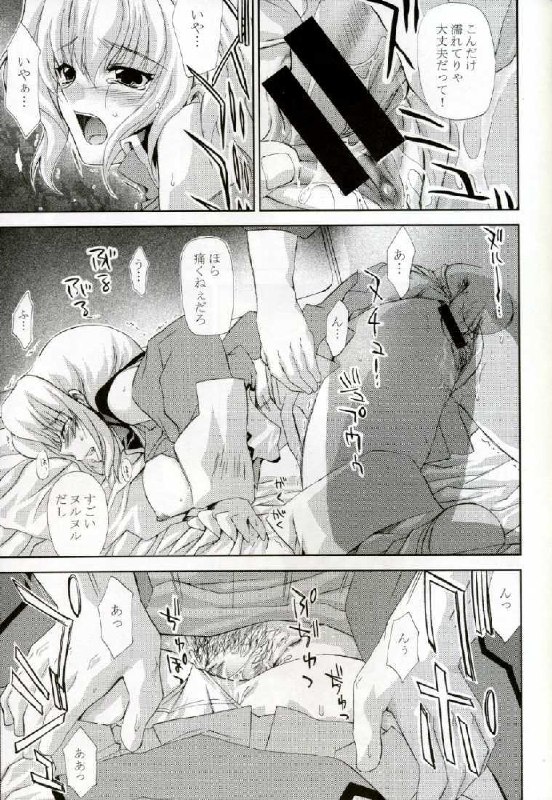(CR37) [FANTASY WIND (Shinano Yura)] L-S (Kidou Senshi Gundam Seed Destiny) page 8 preview