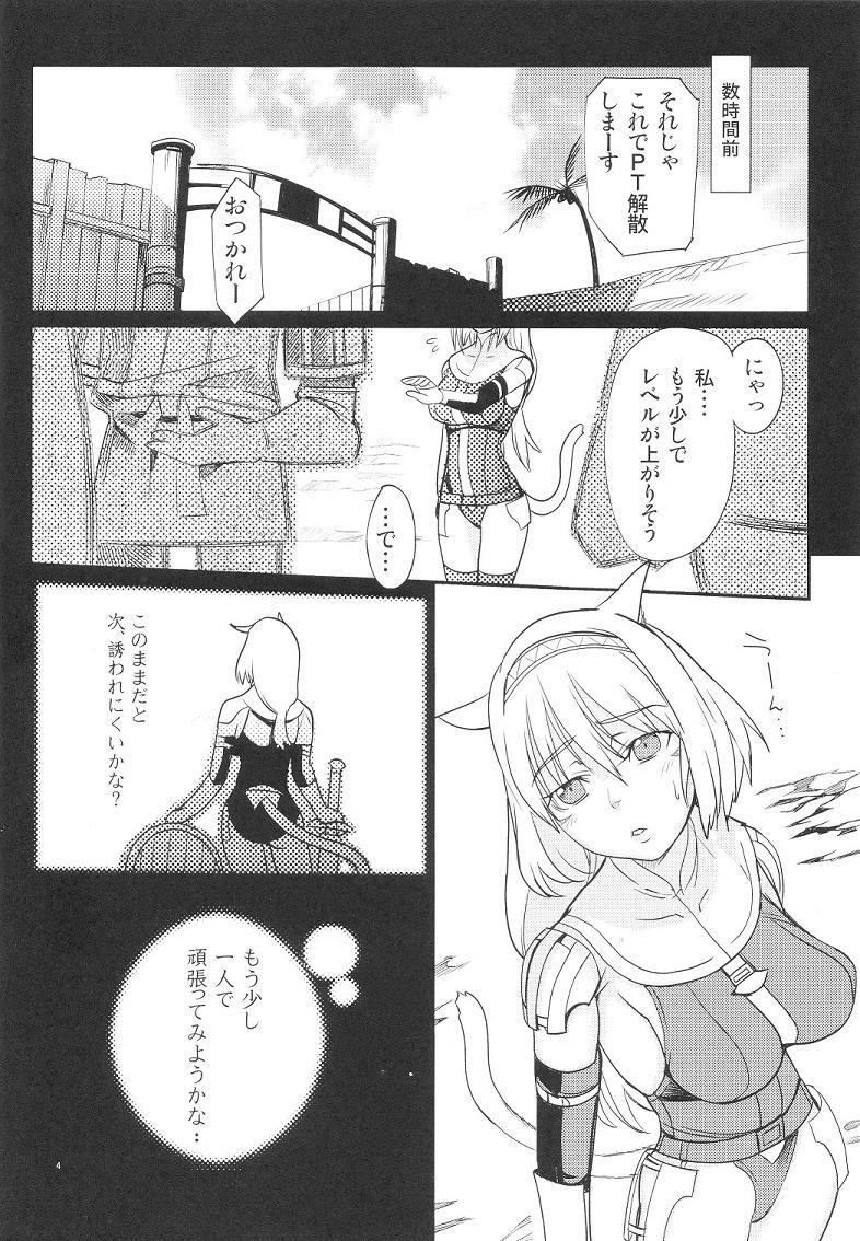 (C74) [Robina go round (Robina)] Neko-Mugyu (Final Fantasy XI) page 3 preview