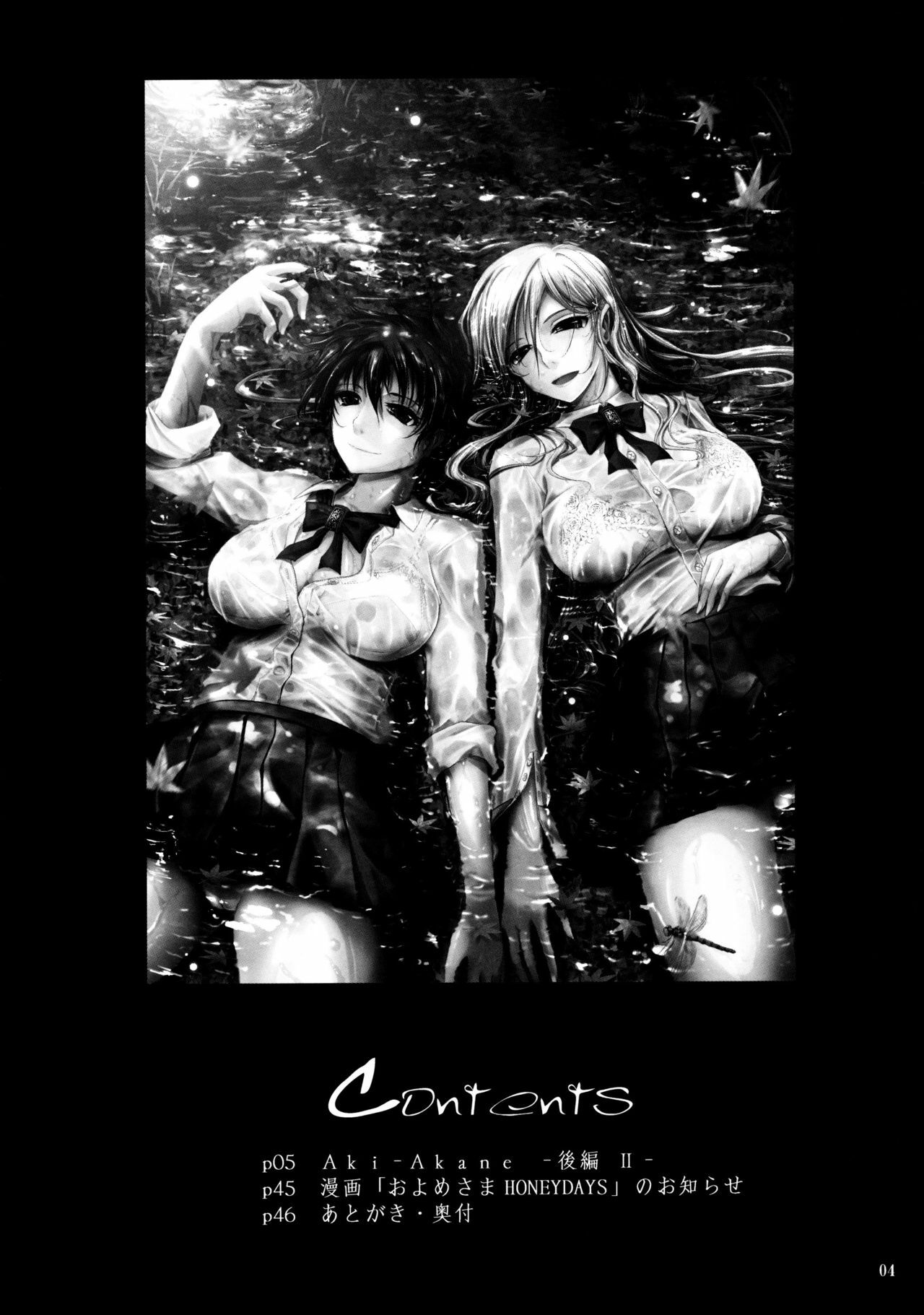 (C76) [Garyuh-Chitai (TANA)] Aki-Akane -Kouhen II- (Bleach) page 3 preview