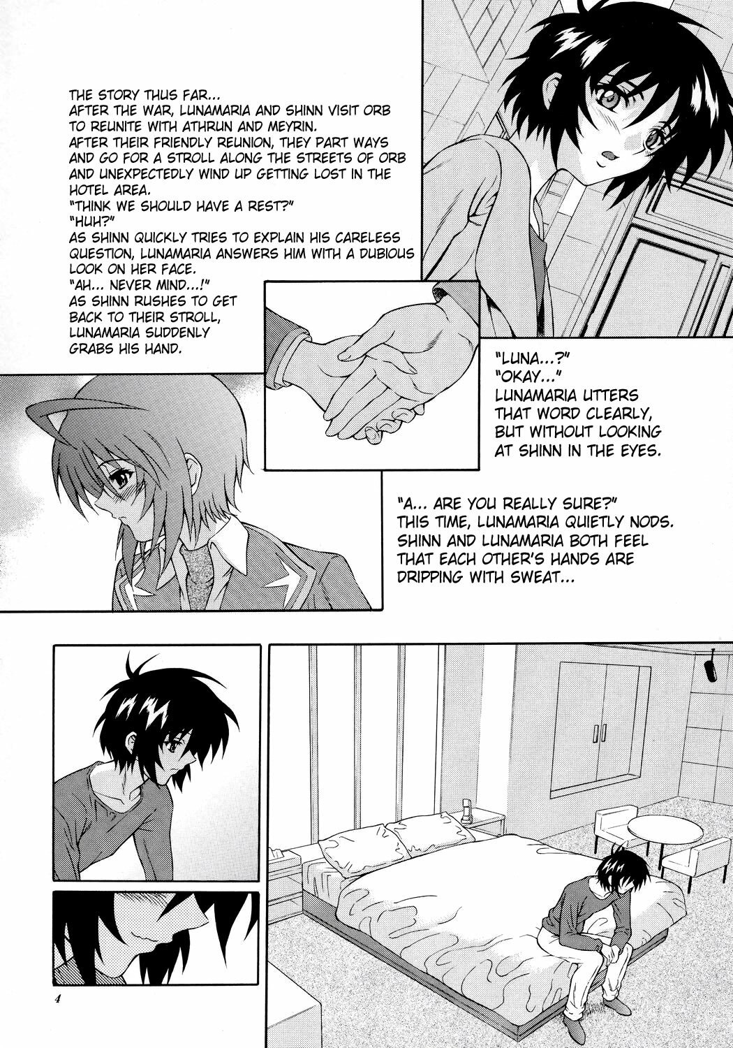 (SC34) [GUST (Harukaze Soyogu)] Burning!! 4 (Mobile Suit Gundam SEED DESTINY) [English] [SaHa] page 3 preview