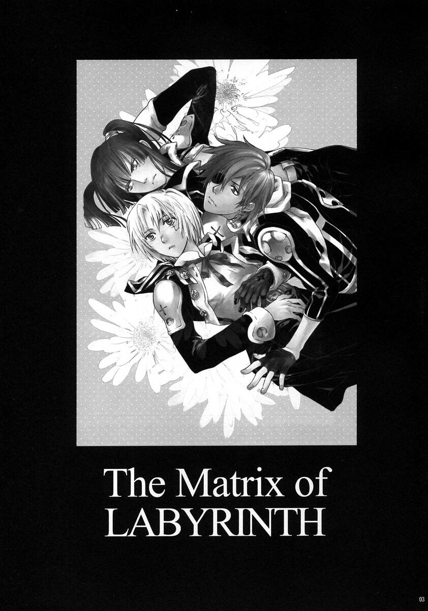 [Mao Ryoka by Hydra] The Matrix of Labirynth [LavixAllen][D.Gray-Man][yaoi] page 2 preview
