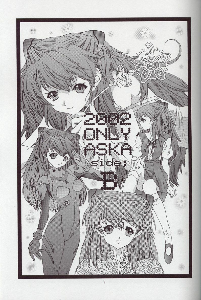(C63) [Chimatsuriya Honpo (Asanagi Aoi)] 2002 Only Aska side B (Neon Genesis Evangelion) page 2 preview