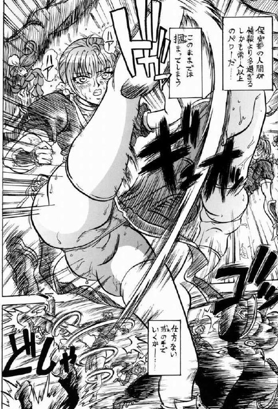 [Reimei Kikaku (Kusunoki Hyougo)] Shkatsu Rensa (Dead or Alive) page 4 preview