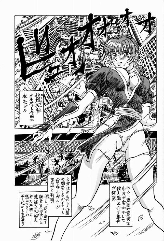 [Reimei Kikaku (Kusunoki Hyougo)] Shkatsu Rensa (Dead or Alive) page 2 preview