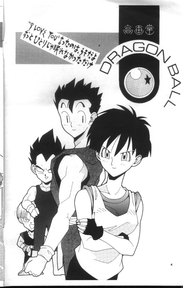 [Kana Shibari] Live Today (Dragonball Z)[English] page 3 preview