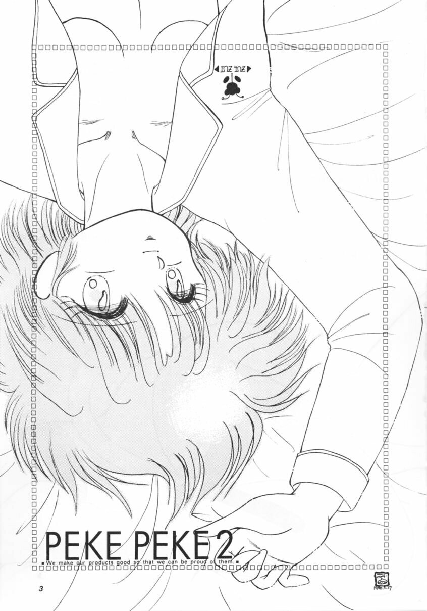 (C39) [Hoge Hoge CLUB (Various)] PEKE PEKE 2 (Ranma 1/2) page 2 preview