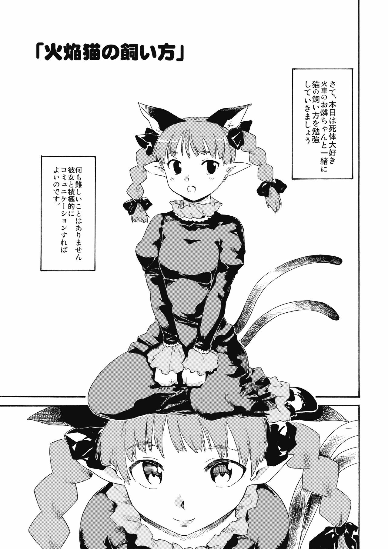 (Kouroumu 5) [Paranoia Cat (Fujiwara Shunichi)] Touhou Ukiyo Emaki Kaenbyou no Kaikata Jigokugarasu no Sodatekata (Touhou Project) page 3 preview
