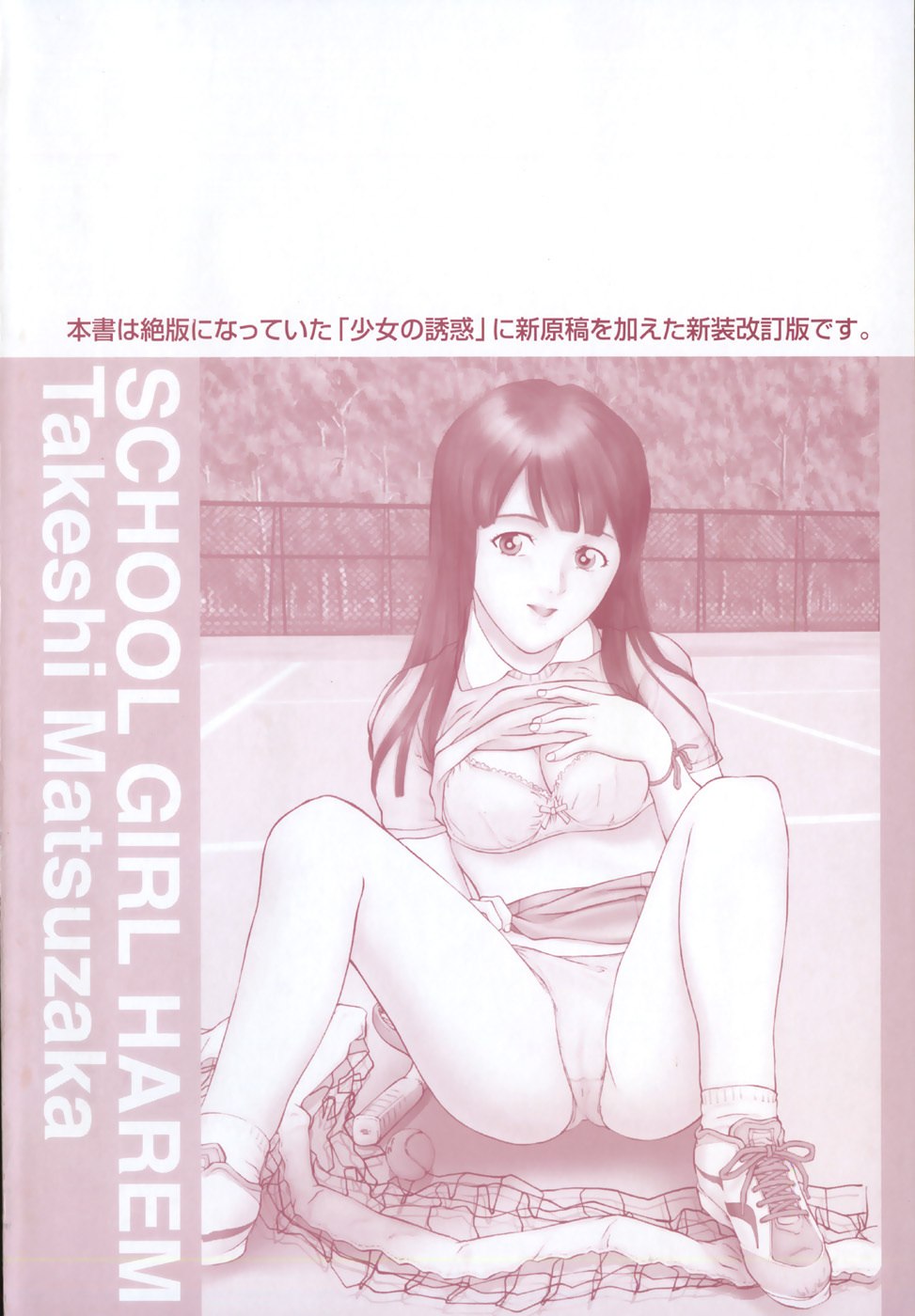[Matsusaka Takeshi] Joshikousei Harem - School Girl Harem page 7 preview