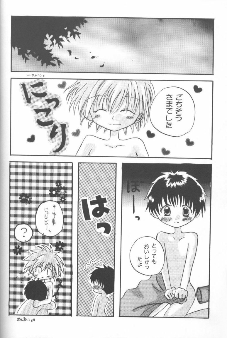 [Küsse, Gyaroppu Daina (Minase Kaori, Narita Rumi)] Honey and Poison (Neon Genesis Evangelion) page 9 preview