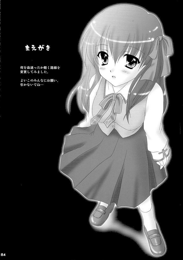 (Mimiket 10) [TAMASHII MAX (Nanami Ayane)] Ingo Juice (Fate/stay night) page 3 preview