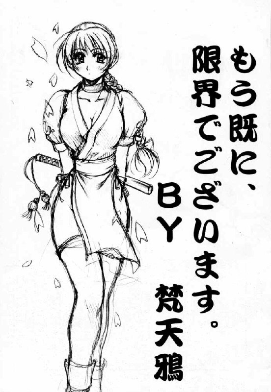(C56) [Wolkenkratzer (Bontenkarasu)] Penalty Pleasant (Dead or Alive) page 4 preview