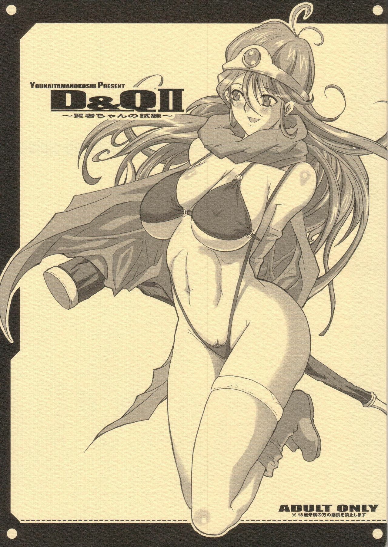 (C68) [Youkai Tamanokoshi (CHIRO)] D&amp;Q II (Dragon Quest III)