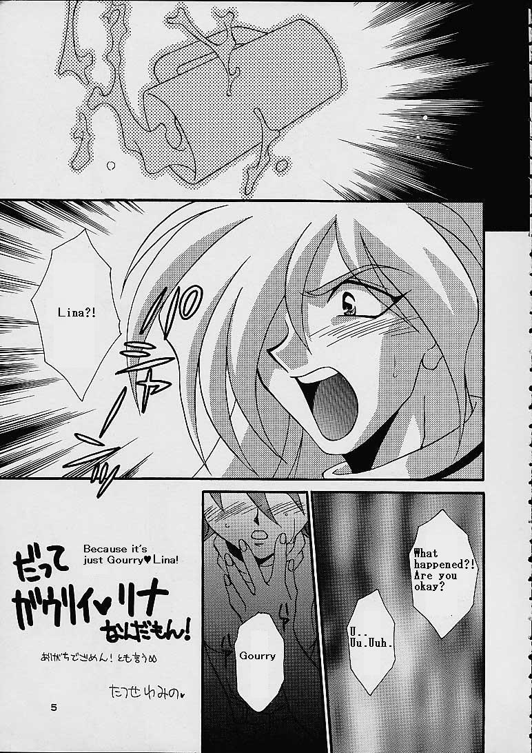 (C52) [Dark Water (Mikuni Saho, Tatsuse Yumino)] BOMBER GIRL (Slayers) [English] page 4 preview