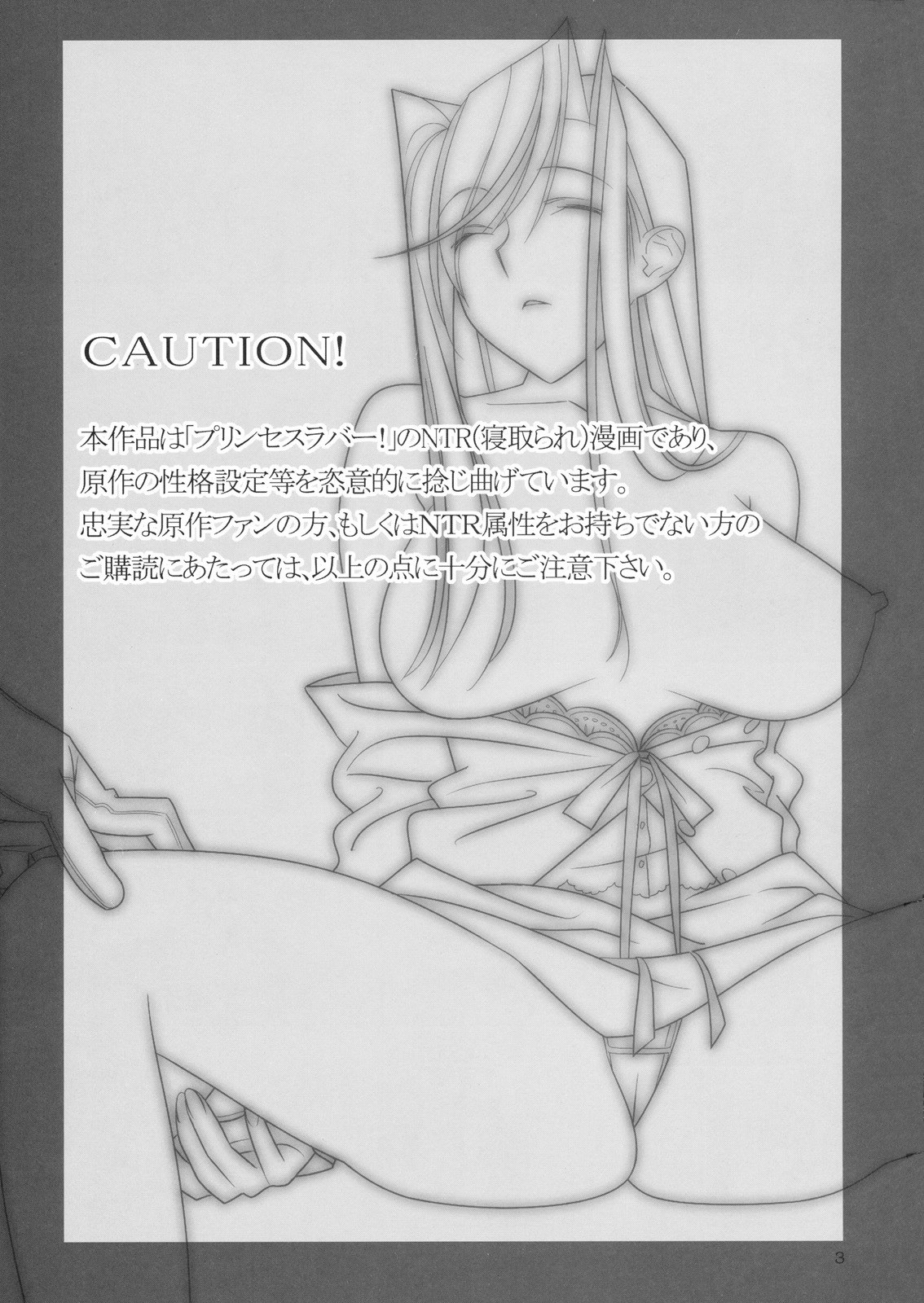 [Hito no Fundoshi (Yukiyoshi Mamizu)] Admired beautiful flower. 2 (Princess Lover!) page 2 preview
