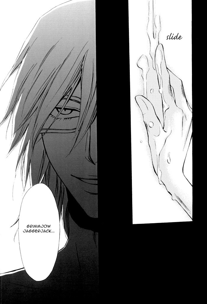 (SUPERKansai13) [Amainu (Naorin)] Brother Junbigou (Bleach) [English] [DPScanlations] page 11 preview