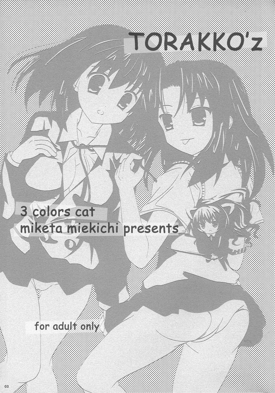 (C74) [3 colors cat (Miketa Miekichi)] ToraKKO'z (Toradora!) page 2 preview