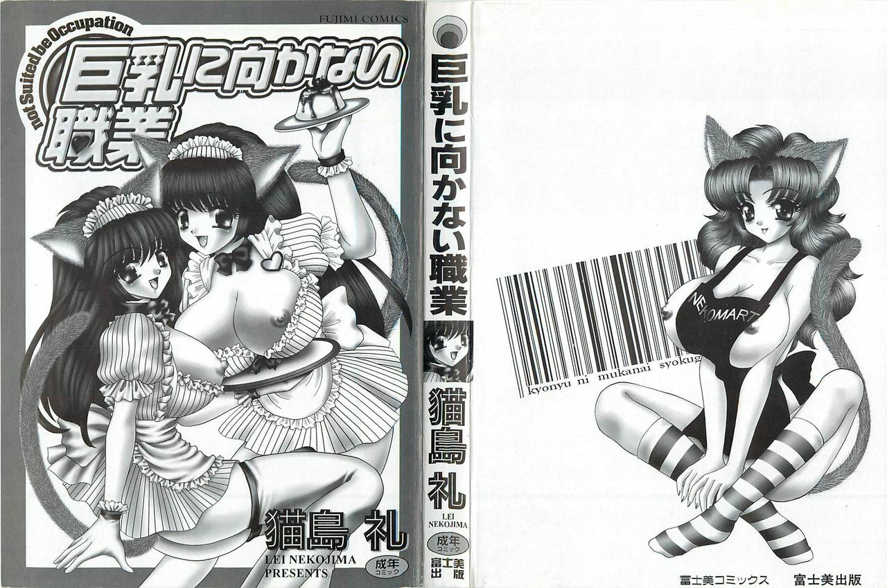 [Nekojima Lei] Kyonyuu ni Mukanai Shokugyou - not Suited be Occupation page 2 preview
