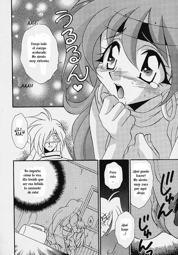 (C52) [Dark Water (Mikuni Saho, Tatsuse Yumino)] BOMBER GIRL (Slayers) [Spanish] page 5 preview
