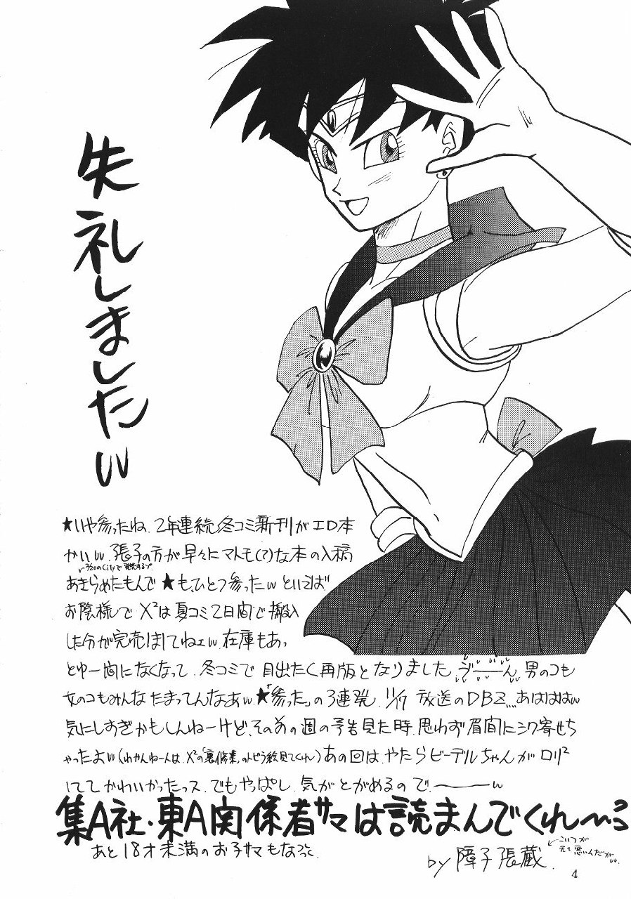 (C45) [Chirigami Goya, Fusuma go Ten (Shoji Hariko)] XXX (DRAGON BALL) page 3 preview