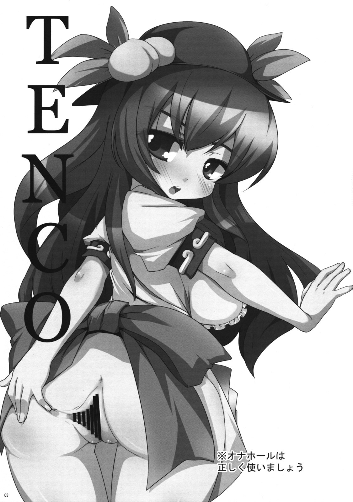 (C76) [Raiden Labo (Raiden)] Tenco (Touhou Project) page 2 preview