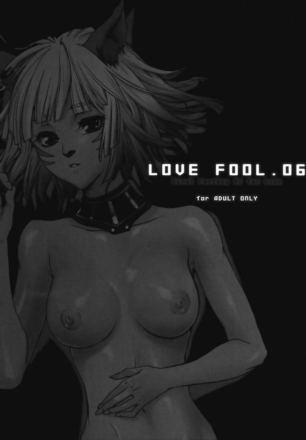 [Akai Tsubasa, 50BMG (Tachibana Chata, Shindou Nobumichi)] LOVE FOOL . 06 (Final Fantasy XI) page 4 preview