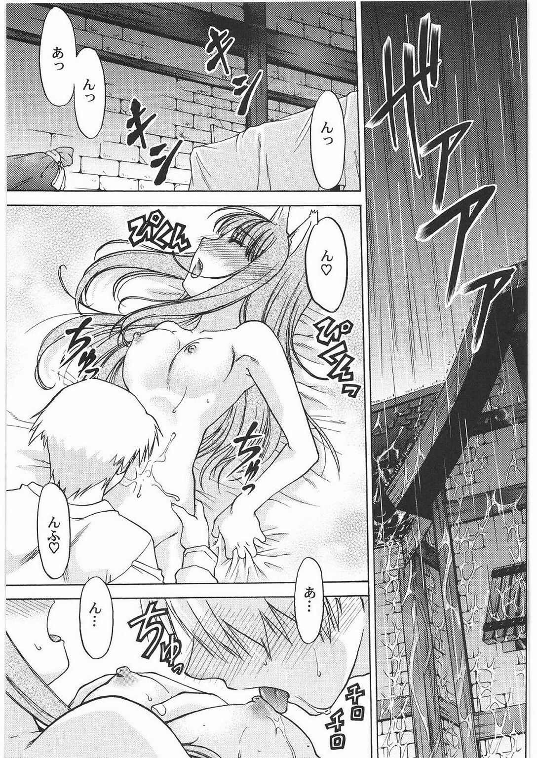 (C76) [Kacchuu Musume (Hisahiko, Shimamoto Harumi)] Smalt Leather (Spice and Wolf) page 10 preview