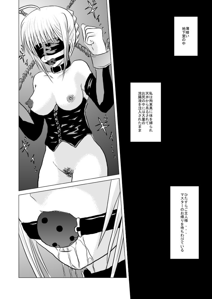 (CT13) [Akai Hitomi to Aoi Tsuki (Uranfu)] Saber, Tofun Choukyou (Fate/Stay Night) page 3 preview