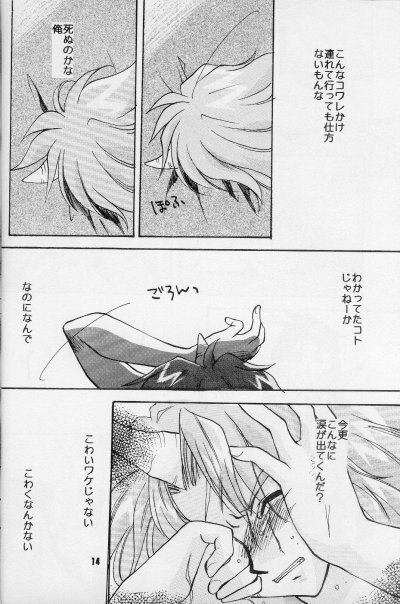 (HaruCC3) [Kodairyuu Hogo no Kai Nishikamata Shibu (Ban Nakko)] Neo Romance (Slayers) page 12 preview