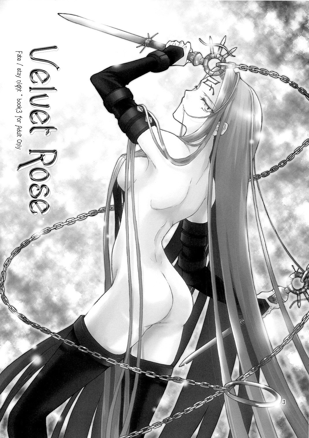 (C66) [MINX (nyoro_ta)] Velvet Rose (Fate/Stay Night) page 2 preview