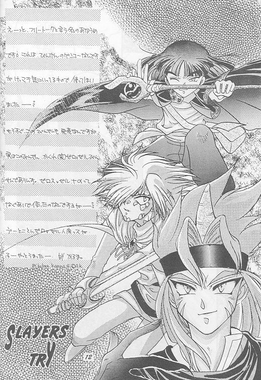 [A.K.Remix (Kannagi Karma, Watabe Ponri)] Otameshi Baca Bon! (Slayers) page 11 preview