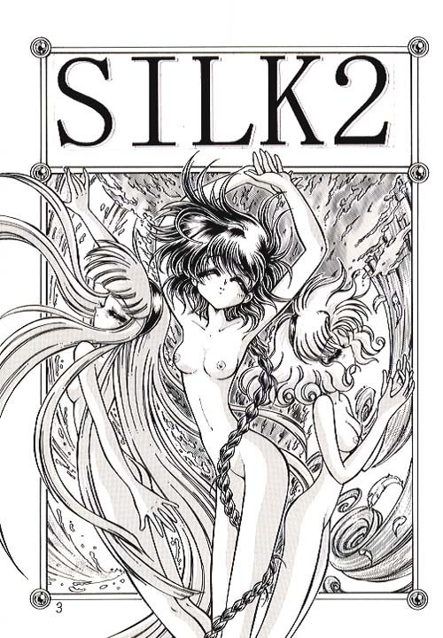 (C50) [Ryuurei Tennyo (Mizutani Hitomi)] Silk 2 (Magic Knight Rayearth) [Incomplete] page 2 preview