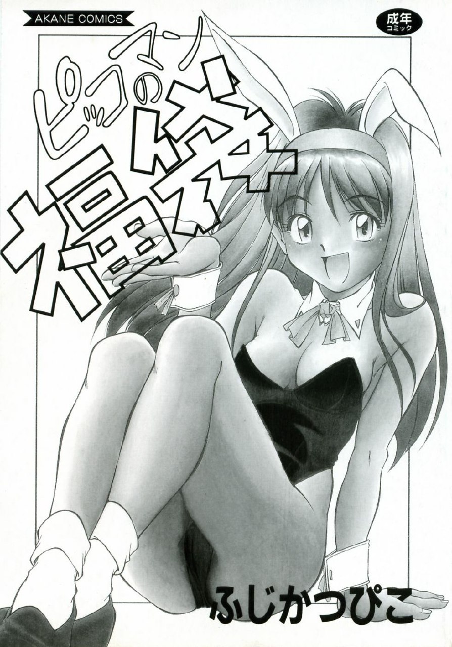 [Fuji Katsupiko] Pikkoman no Fukubukuro page 6 preview