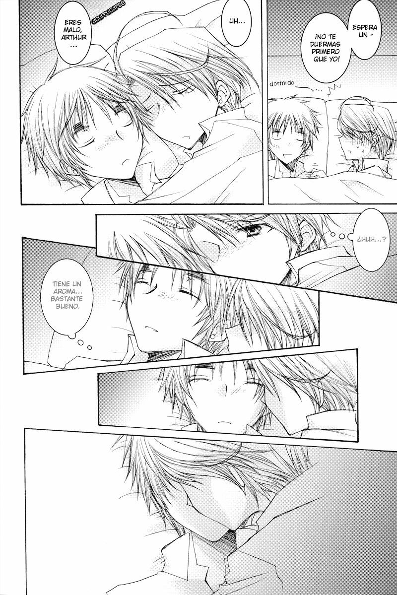 [TOP SECRET (Akatsuki Keiko)] Tobenai Tori to Toge no Hana - Earthbound bird and flower of thorn (Axis Powers Hetalia) [Spanish] [Mirus Mayhem] page 10 preview