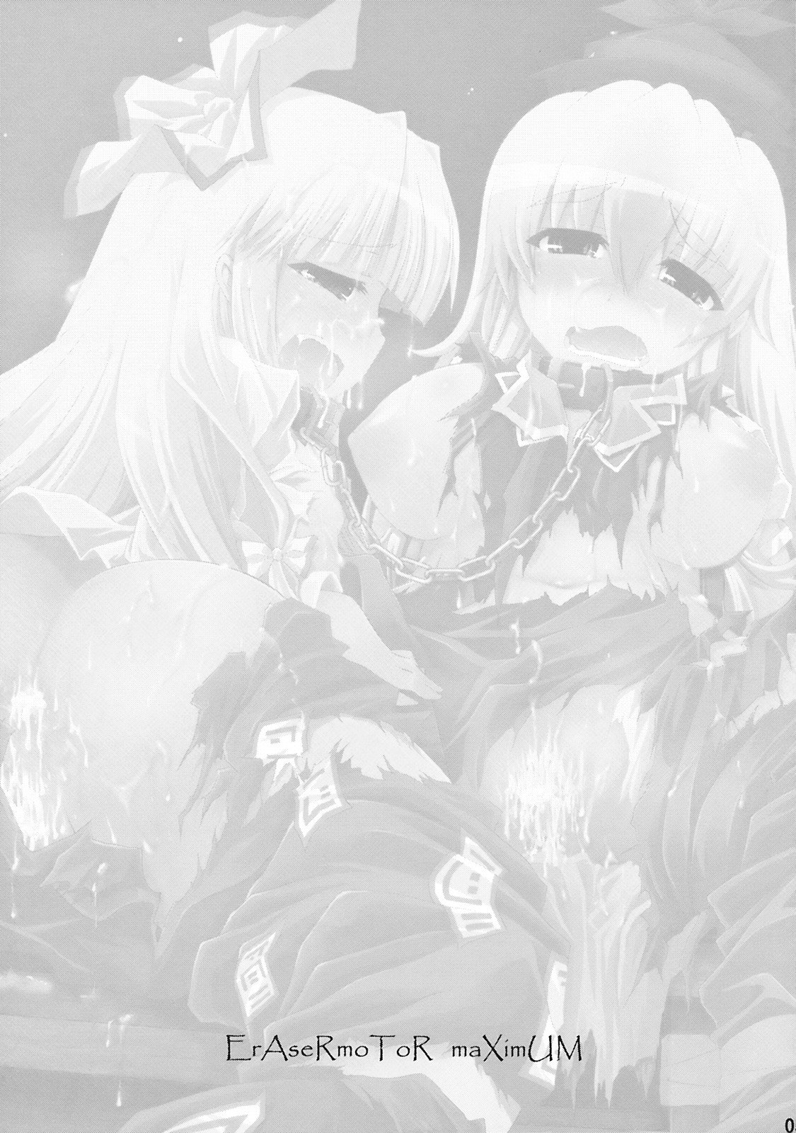 (C77) [IncluDe (Foolest)] ErAseRmoToR maXimUM (Touhou Project) page 5 preview