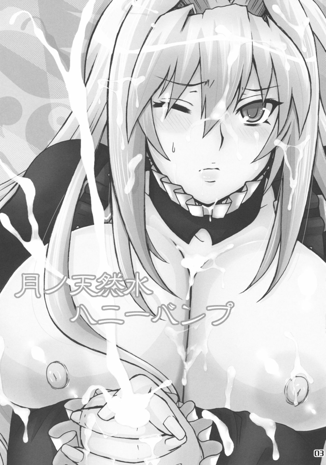 (C76) [Honey Bump (Nakatsugawa Minoru)] Tsuki no Tennensui (Sekirei) page 2 preview