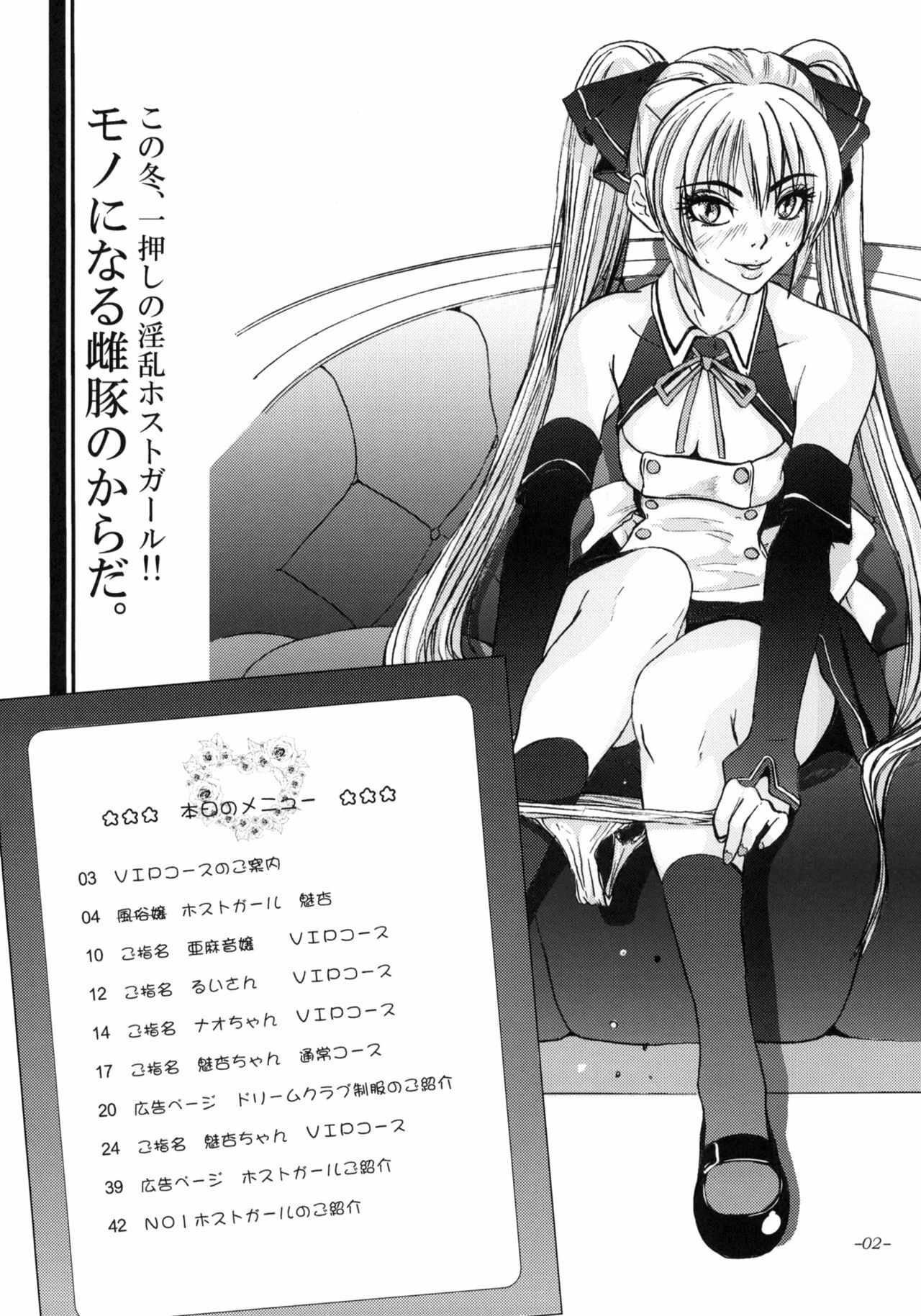 (C77) [Sekai Kakumei Club (Ozawa Reido)] Mono ni Naru Mesu Buta no Kara da. (DREAM C CLUB) page 3 preview